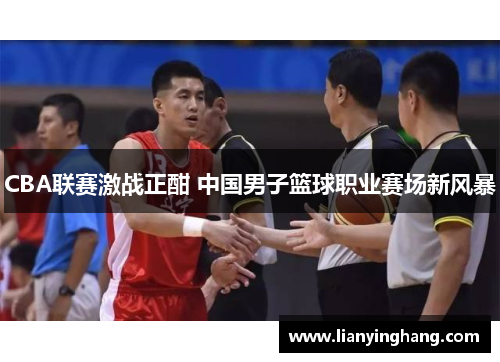 CBA联赛激战正酣 中国男子篮球职业赛场新风暴